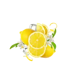 Lemonade Style Summer Lemon / 600g